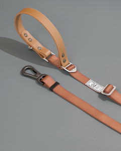 [Bring You To The Top] Dog Leash